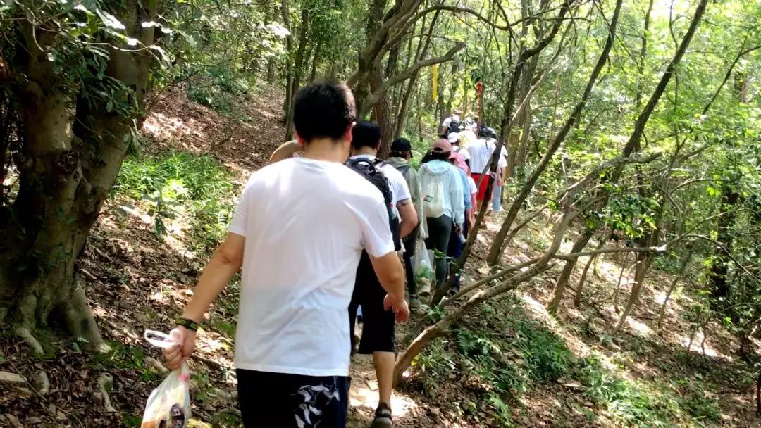 微信图片_20190823100514.jpg