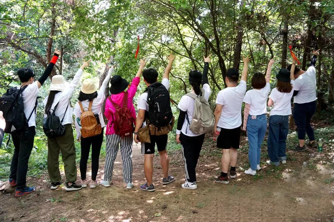 微信图片_20190823100539.jpg